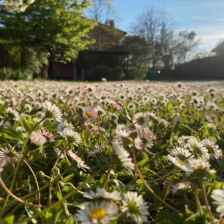 Spazio Friuli - Soreli Residenza Nel * Sevegliano